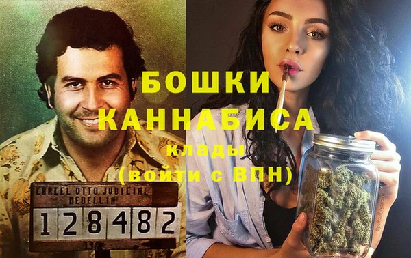 PSILOCYBIN Верхний Тагил