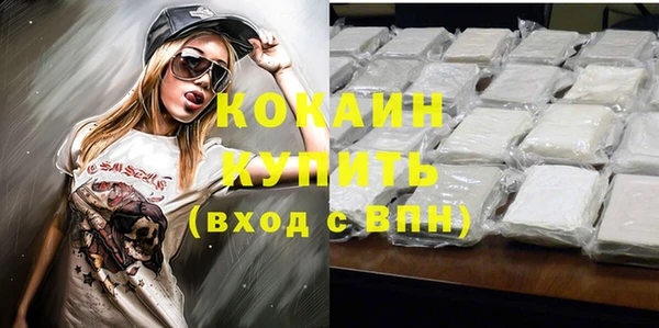 PSILOCYBIN Верхний Тагил