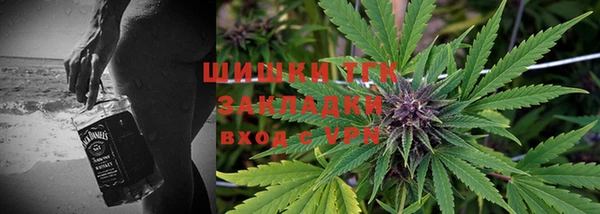 PSILOCYBIN Верхний Тагил