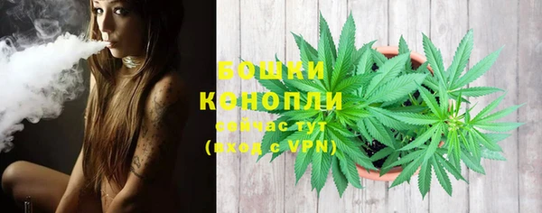 PSILOCYBIN Верхний Тагил